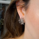 Brincos Shine Chuveiro Em Ouro Branco E Diamantes