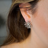 Brincos Shine Chuveiro Em Ouro Branco E Diamantes